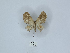  ( - ANHRTUK00167951)  @11 [ ] Copyright (2021) Unspecified ANHRT