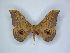  ( - ANHRTUK00189722)  @11 [ ] Copyright (2021) Unspecified ANHRT