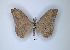 ( - ANHRTUK00189724)  @11 [ ] Copyright (2021) Unspecified ANHRT