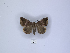  ( - ANHRTUK00189747)  @11 [ ] Copyright (2021) Unspecified ANHRT