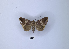  ( - ANHRTUK00189748)  @11 [ ] Copyright (2021) Unspecified ANHRT