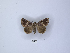  ( - ANHRTUK00189750)  @11 [ ] Copyright (2021) Unspecified ANHRT