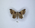  ( - ANHRTUK00189755)  @11 [ ] Copyright (2021) Unspecified ANHRT