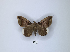  ( - ANHRTUK00189756)  @11 [ ] Copyright (2021) Unspecified ANHRT