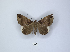  ( - ANHRTUK00189757)  @11 [ ] Copyright (2021) Unspecified ANHRT