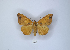  ( - ANHRTUK00189770)  @11 [ ] Copyright (2021) Unspecified ANHRT