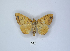  ( - ANHRTUK00189771)  @11 [ ] Copyright (2021) Unspecified ANHRT