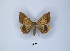  ( - ANHRTUK00189773)  @11 [ ] Copyright (2021) Unspecified ANHRT