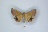  ( - ANHRTUK00189774)  @11 [ ] Copyright (2021) Unspecified ANHRT