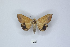  ( - ANHRTUK00189775)  @11 [ ] Copyright (2021) Unspecified ANHRT