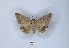  ( - ANHRTUK00189776)  @11 [ ] Copyright (2021) Unspecified ANHRT