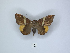  ( - ANHRTUK00189780)  @11 [ ] Copyright (2021) Unspecified ANHRT