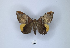  ( - ANHRTUK00189782)  @11 [ ] Copyright (2021) Unspecified ANHRT