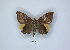  ( - ANHRTUK00189783)  @11 [ ] Copyright (2021) Unspecified ANHRT