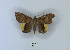 ( - ANHRTUK00189784)  @11 [ ] Copyright (2021) Unspecified ANHRT