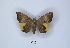  ( - ANHRTUK00189785)  @11 [ ] Copyright (2021) Unspecified ANHRT
