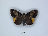  ( - ANHRTUK00189788)  @11 [ ] Copyright (2021) Unspecified ANHRT