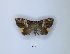  ( - ANHRTUK00189789)  @11 [ ] Copyright (2021) Unspecified ANHRT