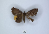  ( - ANHRTUK00189790)  @11 [ ] Copyright (2021) Unspecified ANHRT