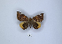  ( - ANHRTUK00189795)  @11 [ ] Copyright (2021) Unspecified ANHRT