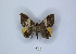  ( - ANHRTUK00189796)  @11 [ ] Copyright (2021) Unspecified ANHRT