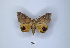  ( - ANHRTUK00189798)  @11 [ ] Copyright (2021) Unspecified ANHRT
