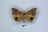  ( - ANHRTUK00189799)  @11 [ ] Copyright (2021) Unspecified ANHRT
