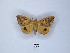  ( - ANHRTUK00189800)  @11 [ ] Copyright (2021) Unspecified ANHRT