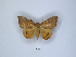  ( - ANHRTUK00189801)  @11 [ ] Copyright (2021) Unspecified ANHRT