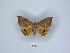  ( - ANHRTUK00189802)  @11 [ ] Copyright (2021) Unspecified ANHRT