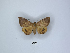  ( - ANHRTUK00189803)  @11 [ ] Copyright (2021) Unspecified ANHRT