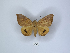  ( - ANHRTUK00189804)  @11 [ ] Copyright (2021) Unspecified ANHRT