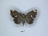 ( - ANHRTUK00189805)  @11 [ ] Copyright (2021) Unspecified ANHRT