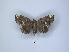  ( - ANHRTUK00189806)  @11 [ ] Copyright (2021) Unspecified ANHRT