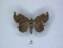  ( - ANHRTUK00189808)  @11 [ ] Copyright (2021) Unspecified ANHRT
