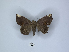  ( - ANHRTUK00189809)  @11 [ ] Copyright (2021) Unspecified ANHRT