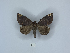  ( - ANHRTUK00189810)  @11 [ ] Copyright (2021) Unspecified ANHRT