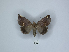  ( - ANHRTUK00189811)  @11 [ ] Copyright (2021) Unspecified ANHRT