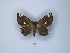  ( - ANHRTUK00189812)  @11 [ ] Copyright (2021) Unspecified ANHRT