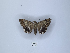 ( - ANHRTUK00189824)  @11 [ ] Copyright (2021) Unspecified ANHRT