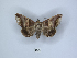  ( - ANHRTUK00189835)  @11 [ ] Copyright (2021) Unspecified ANHRT