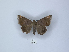  ( - ANHRTUK00189836)  @11 [ ] Copyright (2021) Unspecified ANHRT