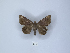  ( - ANHRTUK00189837)  @11 [ ] Copyright (2021) Unspecified ANHRT