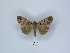  ( - ANHRTUK00189839)  @11 [ ] Copyright (2021) Unspecified ANHRT