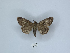  ( - ANHRTUK00189840)  @11 [ ] Copyright (2021) Unspecified ANHRT