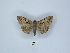  ( - ANHRTUK00189841)  @11 [ ] Copyright (2021) Unspecified ANHRT