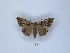  ( - ANHRTUK00189842)  @11 [ ] Copyright (2021) Unspecified ANHRT