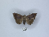  ( - ANHRTUK00189849)  @11 [ ] Copyright (2021) Unspecified ANHRT