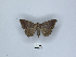  ( - ANHRTUK00189850)  @11 [ ] Copyright (2021) Unspecified ANHRT