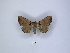  ( - ANHRTUK00189894)  @11 [ ] Copyright (2021) Unspecified ANHRT